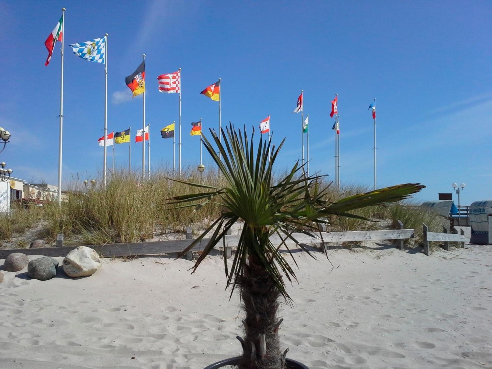 Haus Baltic - Whg 23 - Neu Inkl Saisonstrandkorb! Grömitz Εξωτερικό φωτογραφία